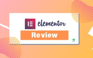 elementor-pro-review