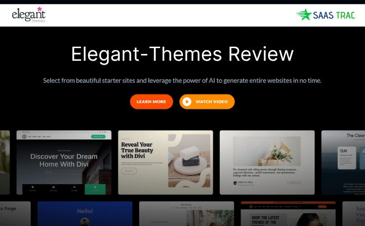 elegantthemes-review.
